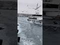 İstanbul Deniz ve Martılar January 2026