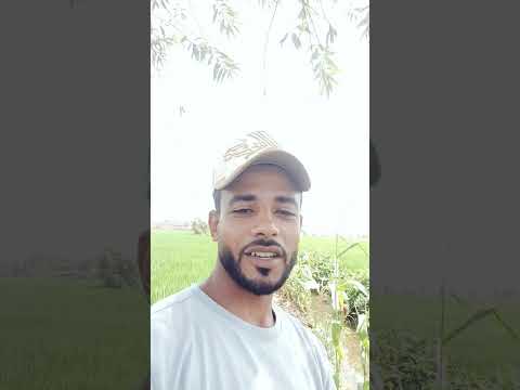 ابنك محتاج لدعاكي المنشد مختار محمود القناوي