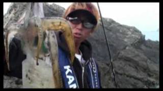 こぢこぢ・阿曽浦の沖磯で絶叫！その２