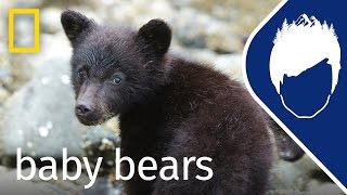 Baby Bears (Episode 7) | wild_life with bertie gregory