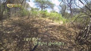 정글의법칙 in 사바나 131011 #45(3)