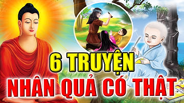 Nhân Quả Báo Ứng Hiện Đời, 6 Truyện Nhân Quả Có Thật Được Người Trong Cuộc Kể Lại (QUÁ LY KỲ)