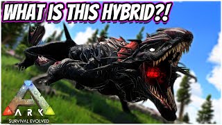 Creating My First S TIER Carnivorous Hybrid!! || Ark Hybrids!
