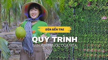 Quy Trình Sản Xuất Nước Dừa Tại Công Ty Sản Xuất và Gia Công Nước Giải Khát RITA | RITA Beverage