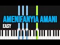 Paul Clement Amenifanyia Amani EASY PIANO TUTORIAL BY The Piano Pro