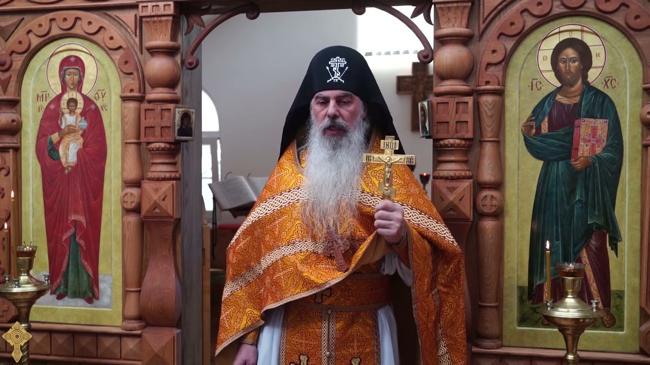 Мы все должны побаливать? #СхиигуменГАВРИИЛ (Виноградов-Лакербая) #записьПРОПОВЕДИ