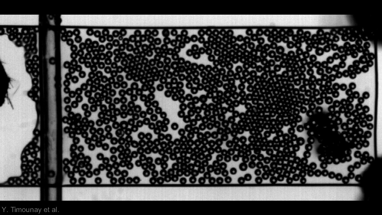 camera iphone 8 plus apk Viscosity of particle laden films