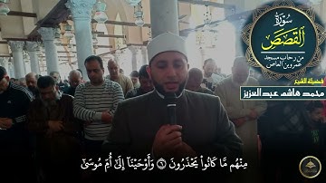 ما تيسر من سورة القصص من رحاب مسجد عمرو بن العاص