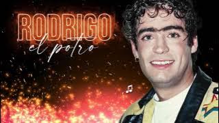 Rodrigo Bueno - Amor clasificado │ Video Lyric