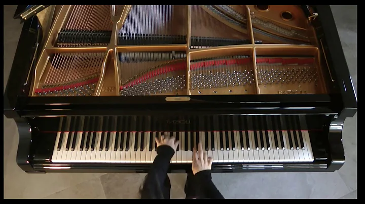 BACH | PASSACAGLIA C Minor | MARIANGELA VACATELLO ...