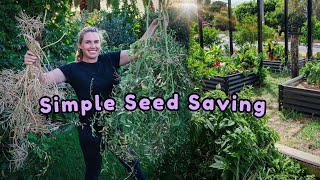 The Easiest way to SAVE SEEDS for Never-ending Free Plants 🌱 with 10 examples!