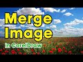 How to merge an image in coreldraw