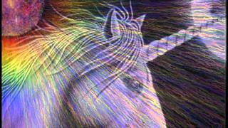 Donovan Harrison - The Sound of Unicorns Crying