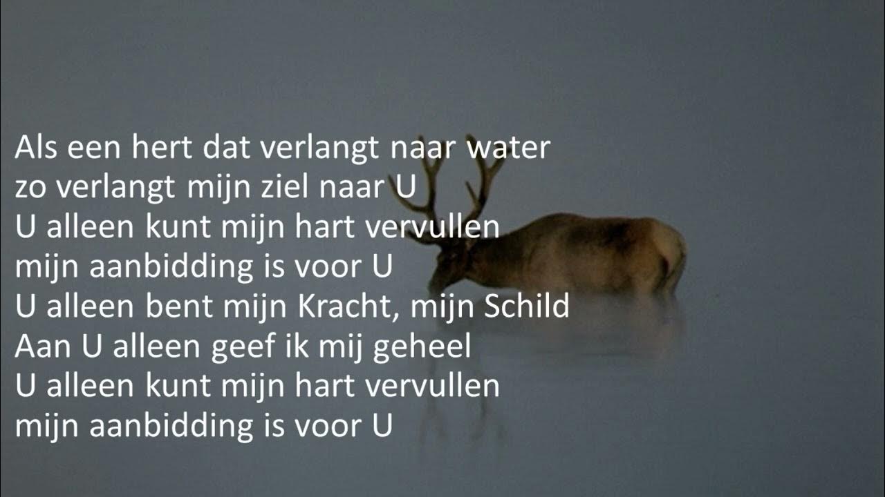 Opwekking met tekst 281 Als een hert dat verlangt naar water YouTube Opwekking met tekst 281 Als een hert dat verlangt naar water YouTube
