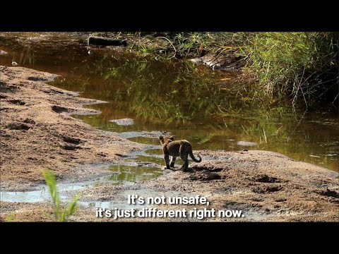Is it possible and safe to visit South Africa right now?