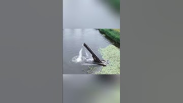 Trục vít Archimedes – Phát minh 2000 năm vẫn còn hữu ích đến ngày nay #shorts