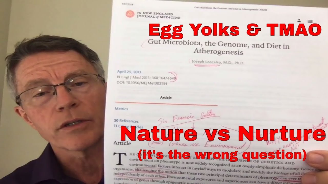 TMAO and Nature vs Nurture - FORD BREWER MD MPH diseases caused by air pollution