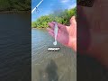 This Is WHY You Never Catch Fish in Muddy Water