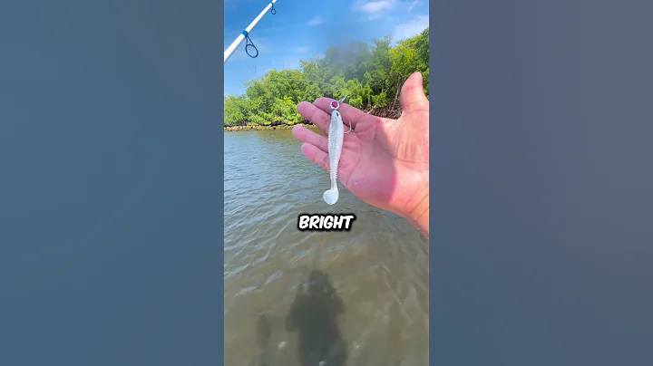 This Is WHY You Never Catch Fish in Muddy Water
