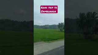 Road trip to Zamboanga pig travel workingfarm