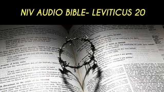 LEVITICUS 20 NIV AUDIO BIBLE (with text)