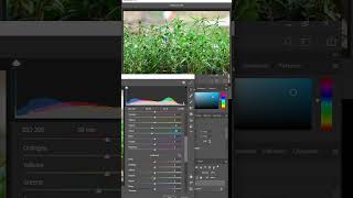 Edit picture of beautiful grass screenshot 5