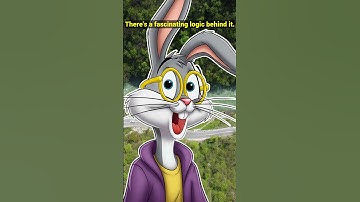 🛠️ Coding Secrets: The Easy Steps That Will Make You a Programming Pro!