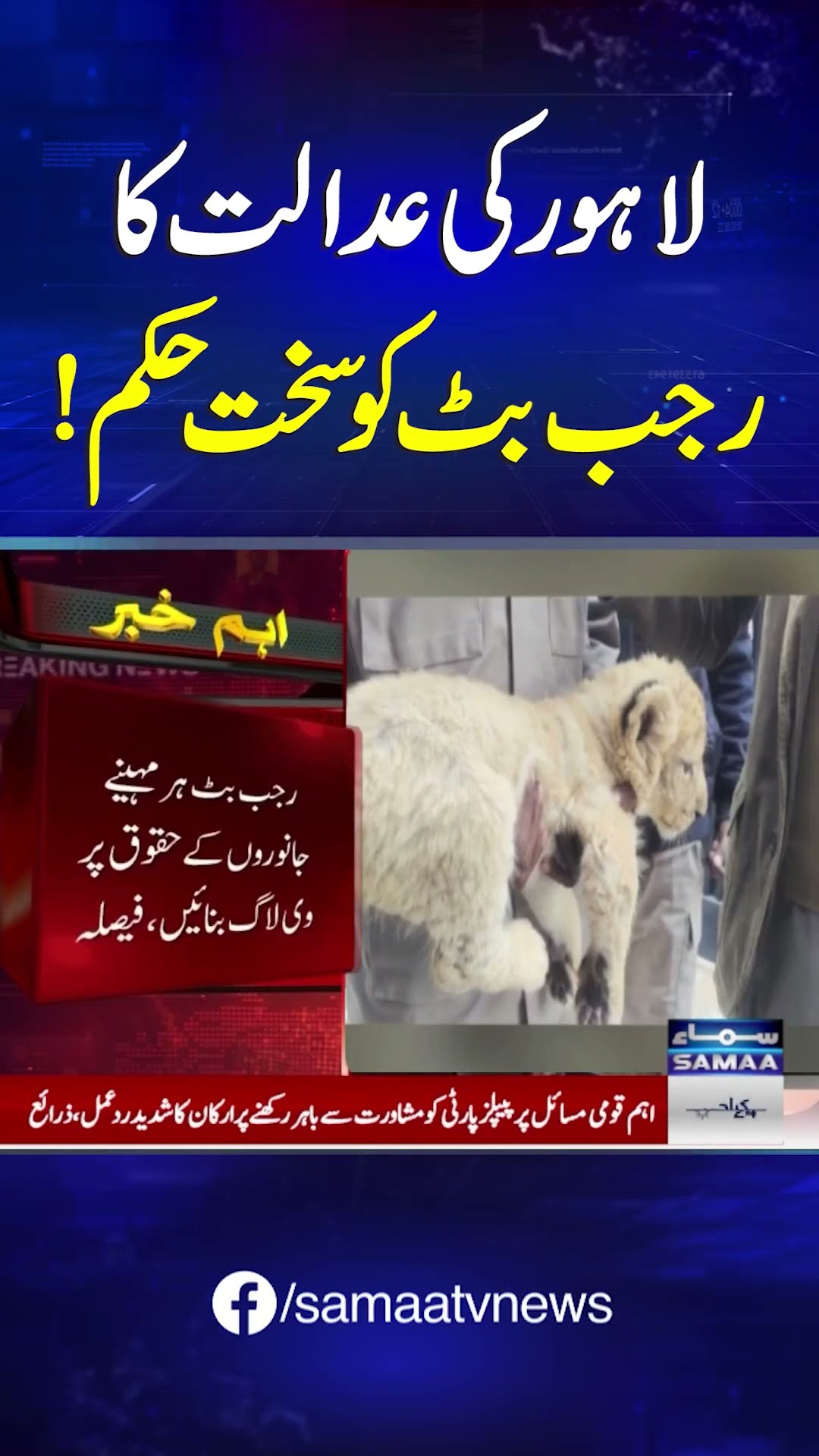 Lahore Court Orders Rajab Butt to Make Vlogs on Animals | SAMAA TV