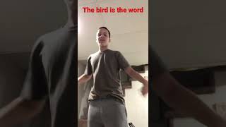 The bird is the word