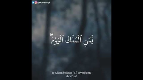 يوم هم بارزون تلاوة خاشعة