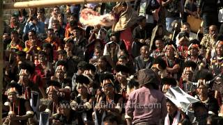 Huge Crowd At The Hornbill Festival
