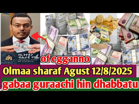 Olmaa Sharafa Gabaa Gurachaa Balan Bute Dollar Riyal Diraham Dinar Euro Kebekiofficial