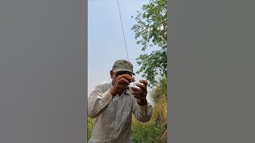 Easy Snake Wire Trap Using Cable With Bamboo #shorts