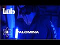 Palomina live session  pygments lab 14