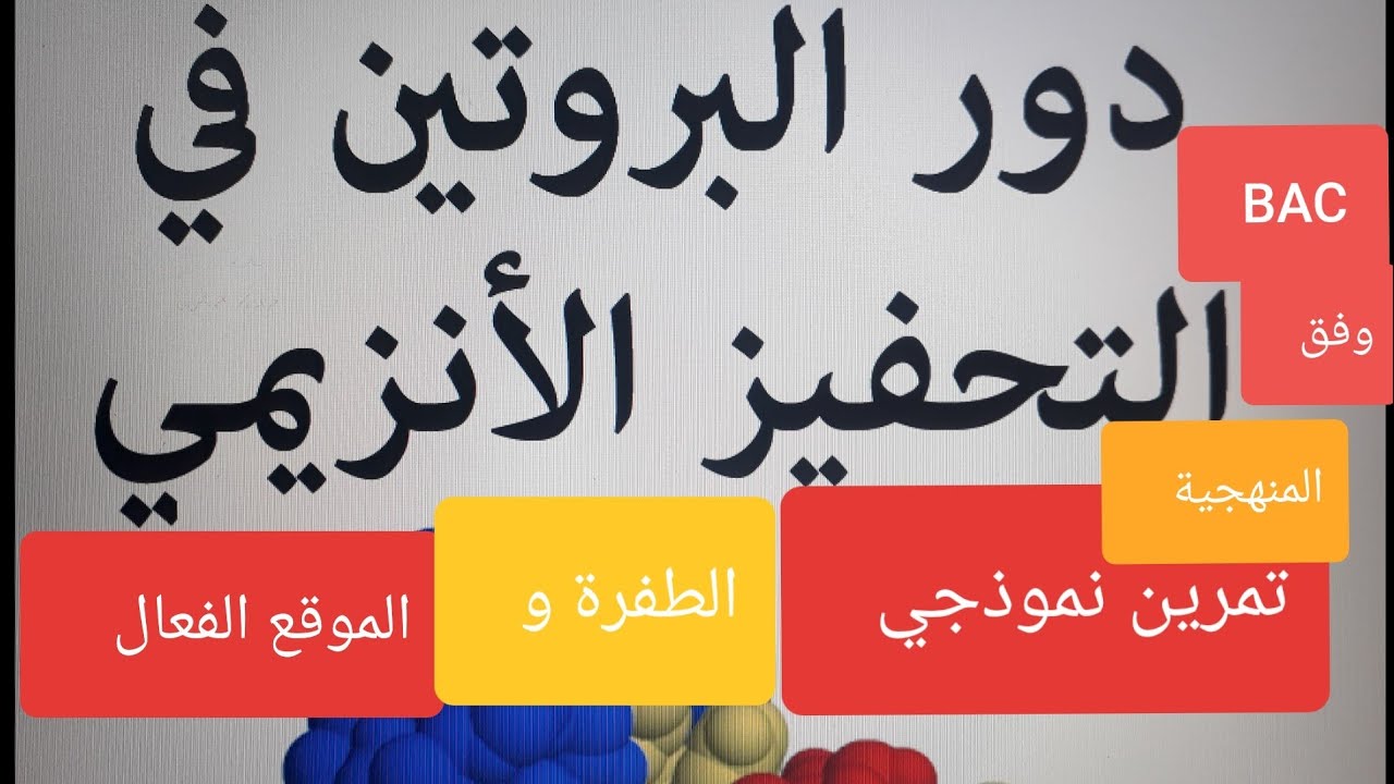 تمارين دعم وفق المنهجية _إنزيمات، الموقع الفعال والطفرة