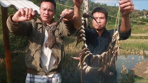 Nồi cháo cá khổng lồ tại ngôi nhà chung | Nhịp Sống Tây Bắc