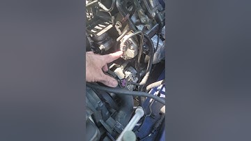 06 GTO mid way with tip.