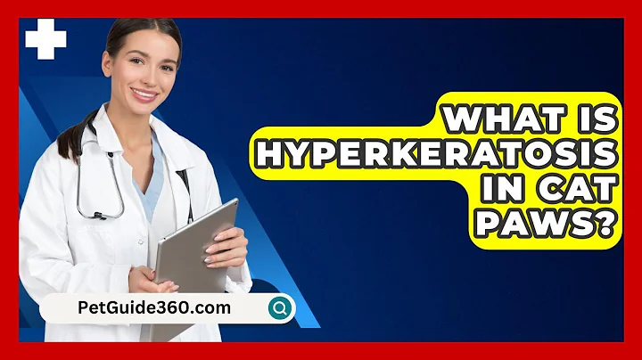What Is Hyperkeratosis In Cat Paws? - PetGuide360.com