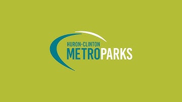 Basics Of Bird Identification