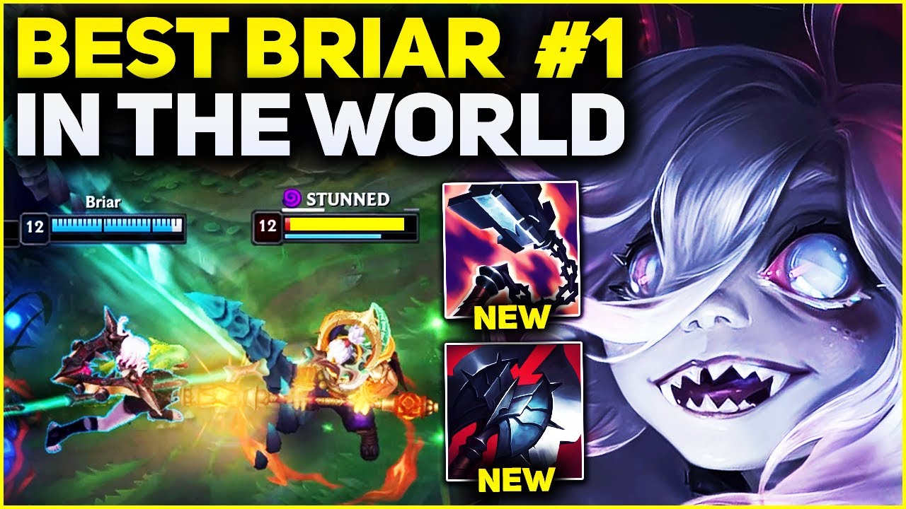 Briar Pro Builds - How to Play Briar in Season 13