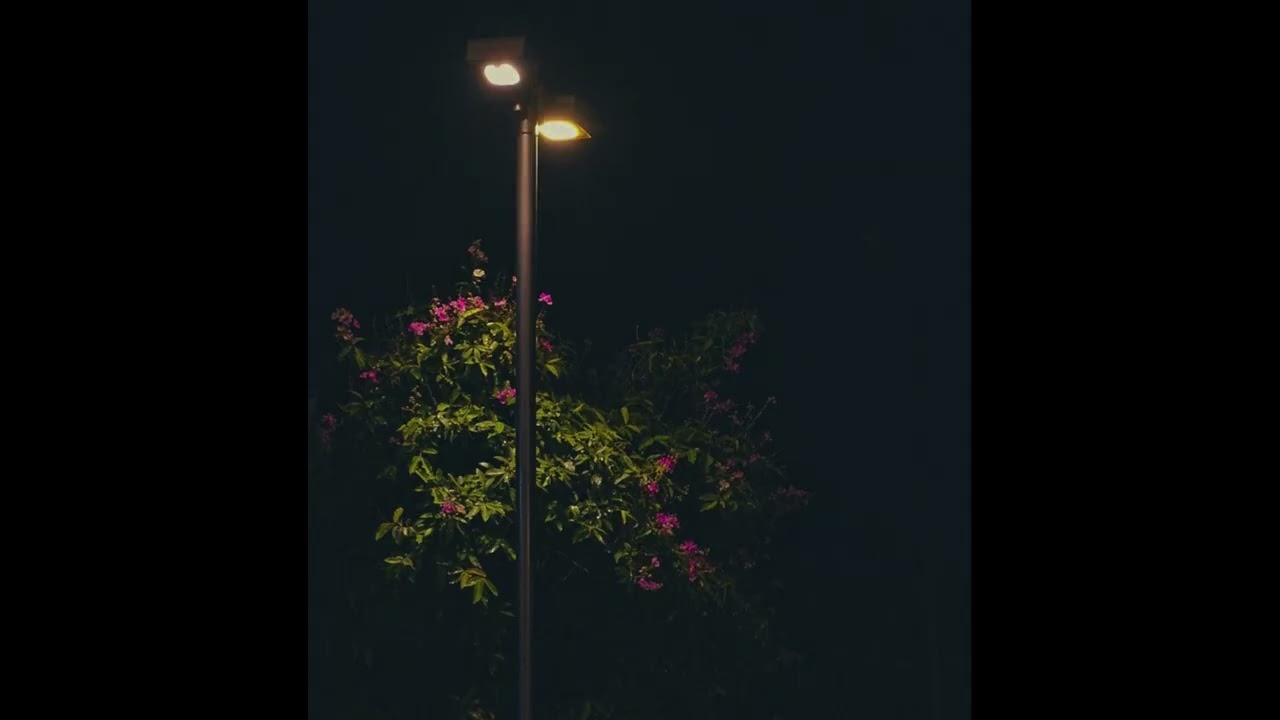 (free) alternative R&B x Boom Bap type beat - "wonderland"