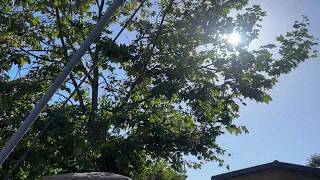 Public Safety Power Shutoffs Possible Throughout Central Coast