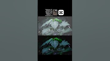 The power of color grading | capcut edit | change your mood video |