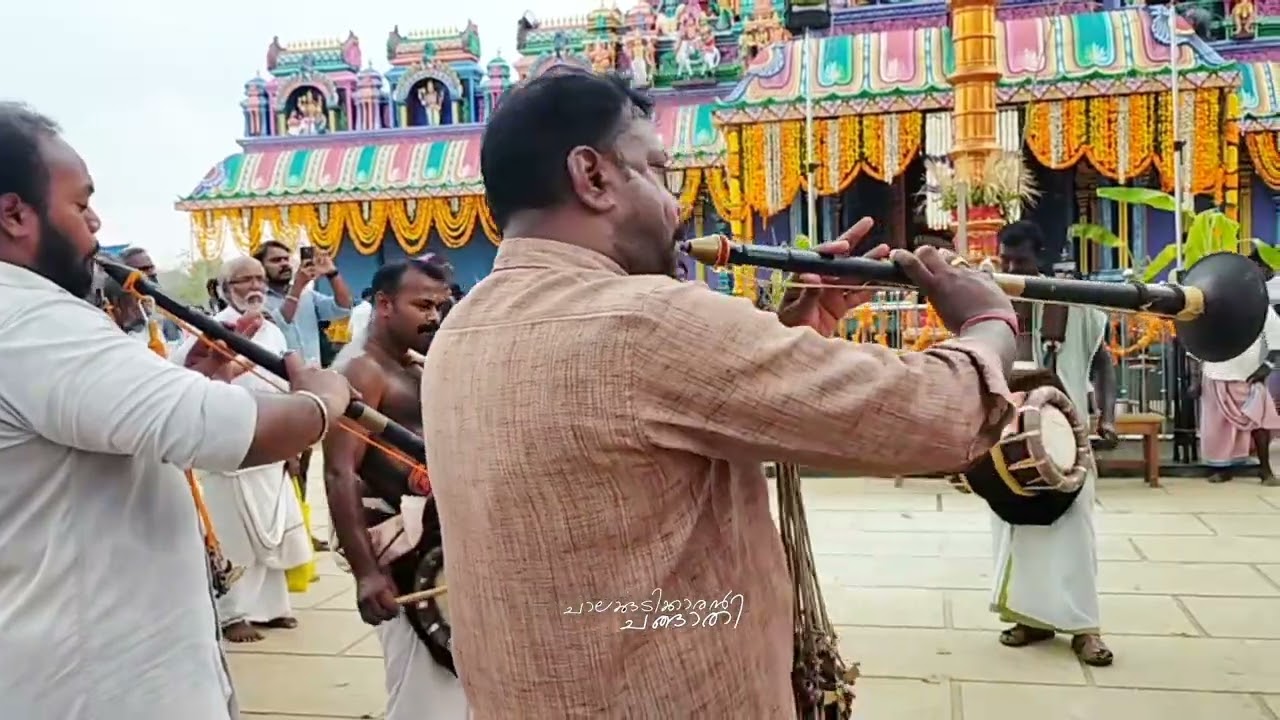 2026 കേരള പഴനി പൂയം ചോച്ചേരികുന്ന് |Kerala Paxhani Pooyam Chocherikunnu|Kaavidi |