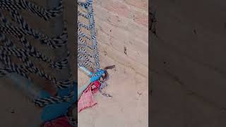 nagin #nagin