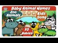 ZOO ANIMALS | FARM ANIMALS | NURSERY RHYMES | SILLY SONG | KIDS SONG | SING ALONG