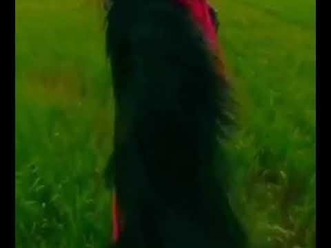 جهلت عيون الناس مافي داخلي عبدالله المهداوي