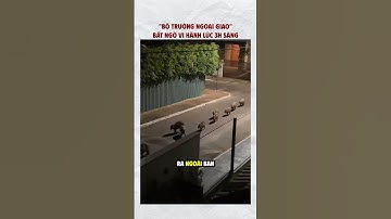 Vô tình phát hiện bộ trưởng ngoại giao Capybara vi hành #Shorts