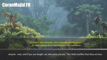 Sourate Al Hashr Relaxing Récitation | Ahmed Al Nufays | أحمد النفيس سورة الحشر