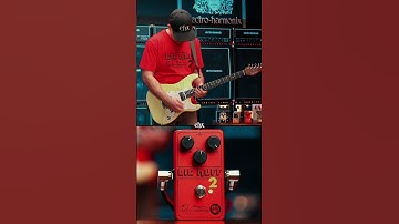 The Big Muff 2 Gets a Run for Its Money!